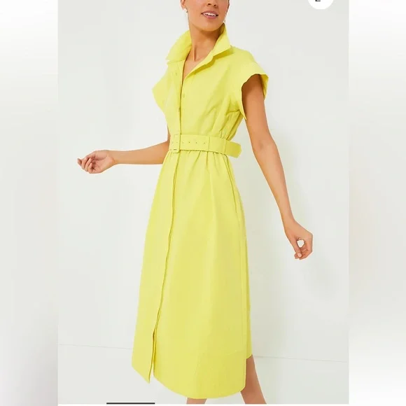TUCKERNUCK Citron Chloe Dress SMALL - Picture 4 of 13